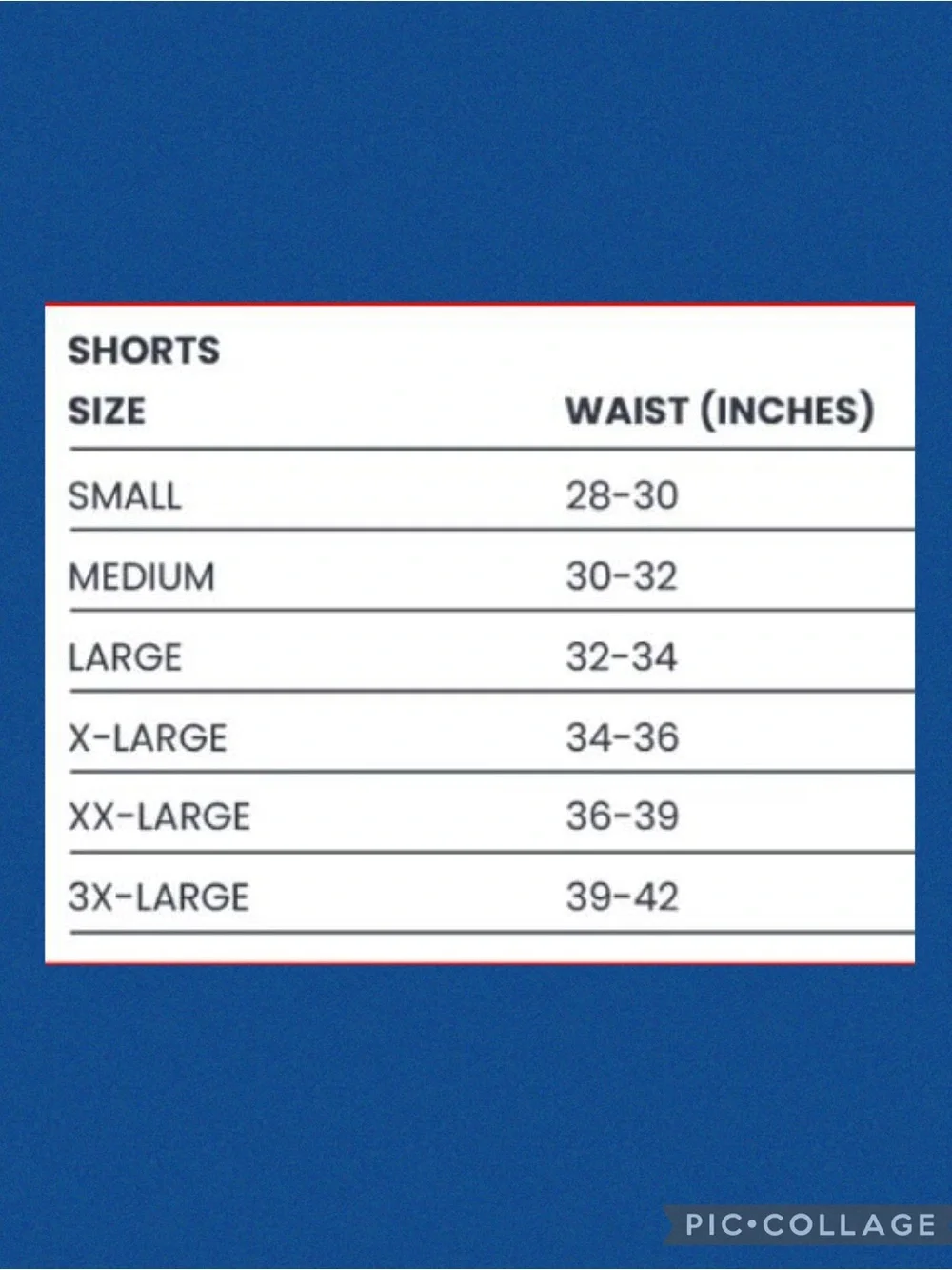 Birddogs Sargeant Tuddy Gym Shorts with Liner